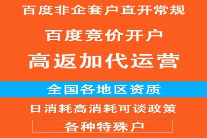 百度竞价广告创意设计：成功案例解析及启示